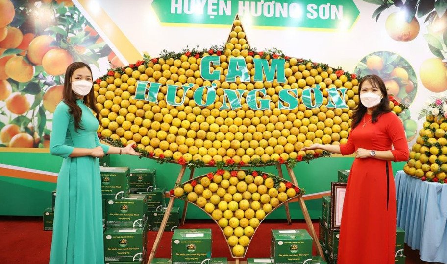 Triển khai số hóa kết hợp với truy xuất nguồn gốc vào nông nghiệp, Hà Tĩnh nắm bắt cơ hội xúc tiến tiêu thụ cam vào các hệ thống siêu thị